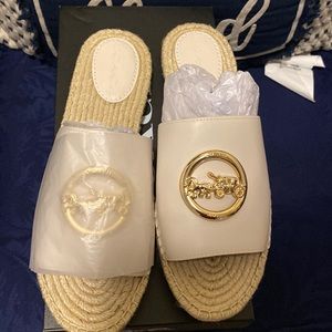 Coach slides